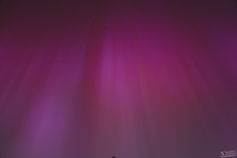 _DSC4880_stemp.jpg