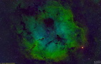 Der Elefantenrüsselnebel (IC 1396) in der Hubble-Palette.