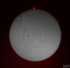 Sonne H alpha 11.August.2024 stemp
