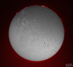 Sonne Halpha 12.August.2024 stemp